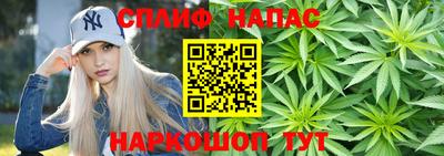дмт Краснознаменск