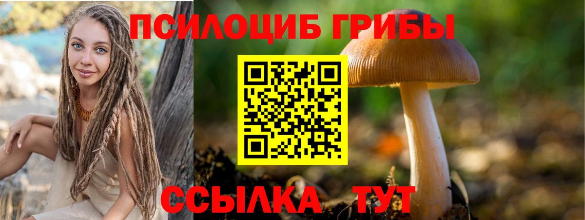 Псилоцибиновые грибы Psilocybine cubensis  Вход с VPN  Донской 