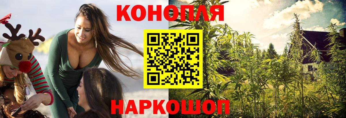 Канабис SATIVA & INDICA  МАРИХУАНА OG Kush  Каннабис планчик  Вход с VPN  Донской  Бошки Шишки план 